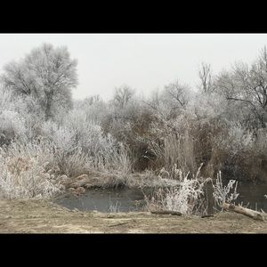 Meet your Posher, Turia